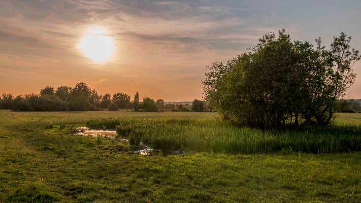 A view of the Maidenhead and Cookham Commons at dusk, with a pond in the foreground and an orange-blue sky above